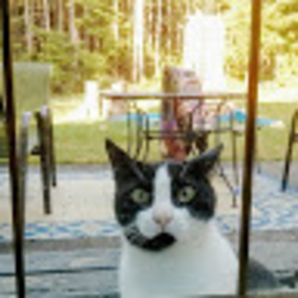 Meet your Posher, Miranda